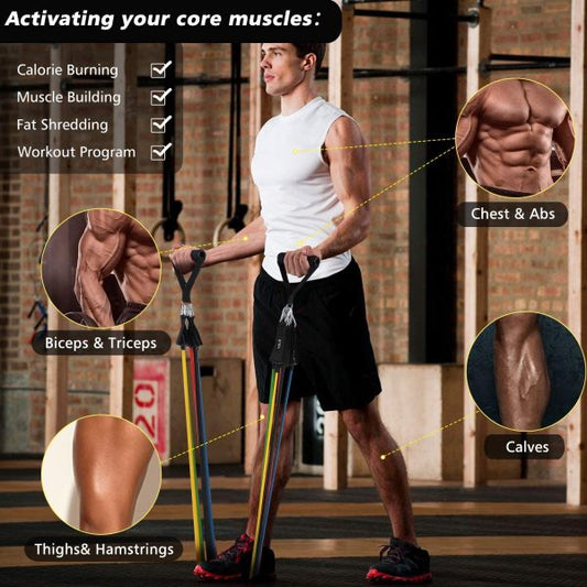 High Quality Portable Resistance Bands With Handles, Resistance Tubes & Workout/Exercise Band Elastic Pull Rope 11 Pcs Set